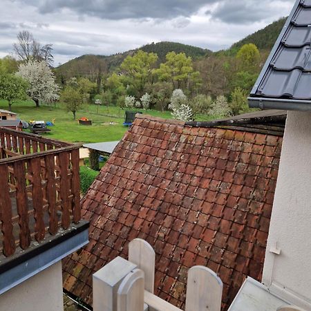 Ferienhaus Reschwitzer Auszeit Saalfeld Saale المظهر الخارجي الصورة
